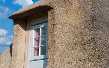 Wyesham thatch roof disadvantages